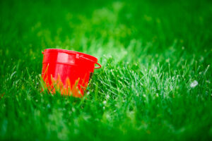 A Step-by-Step Approach for proper lawn fertilization